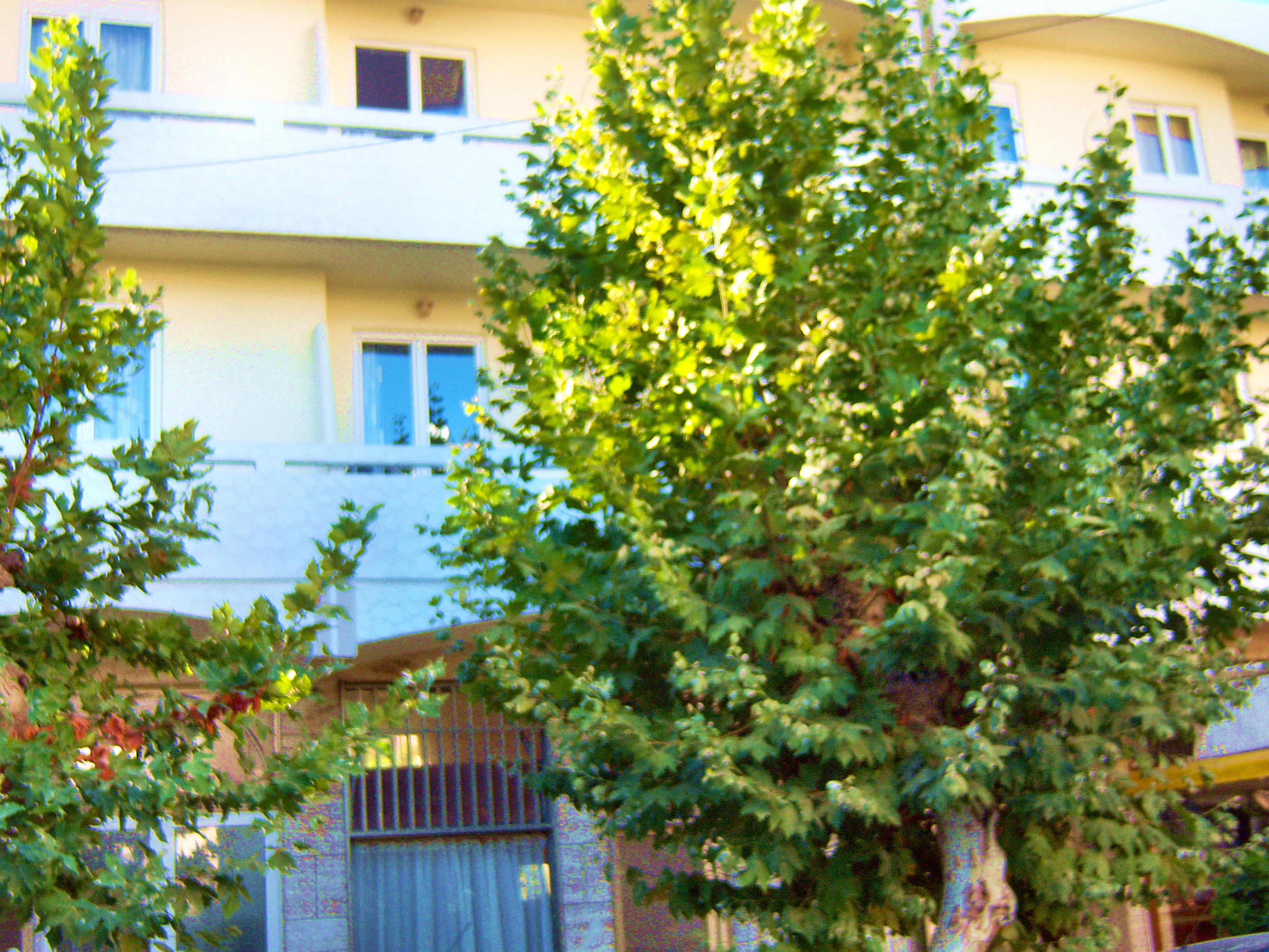 העיירה קוס Fantasia Hotel Apartments מראה חיצוני תמונה